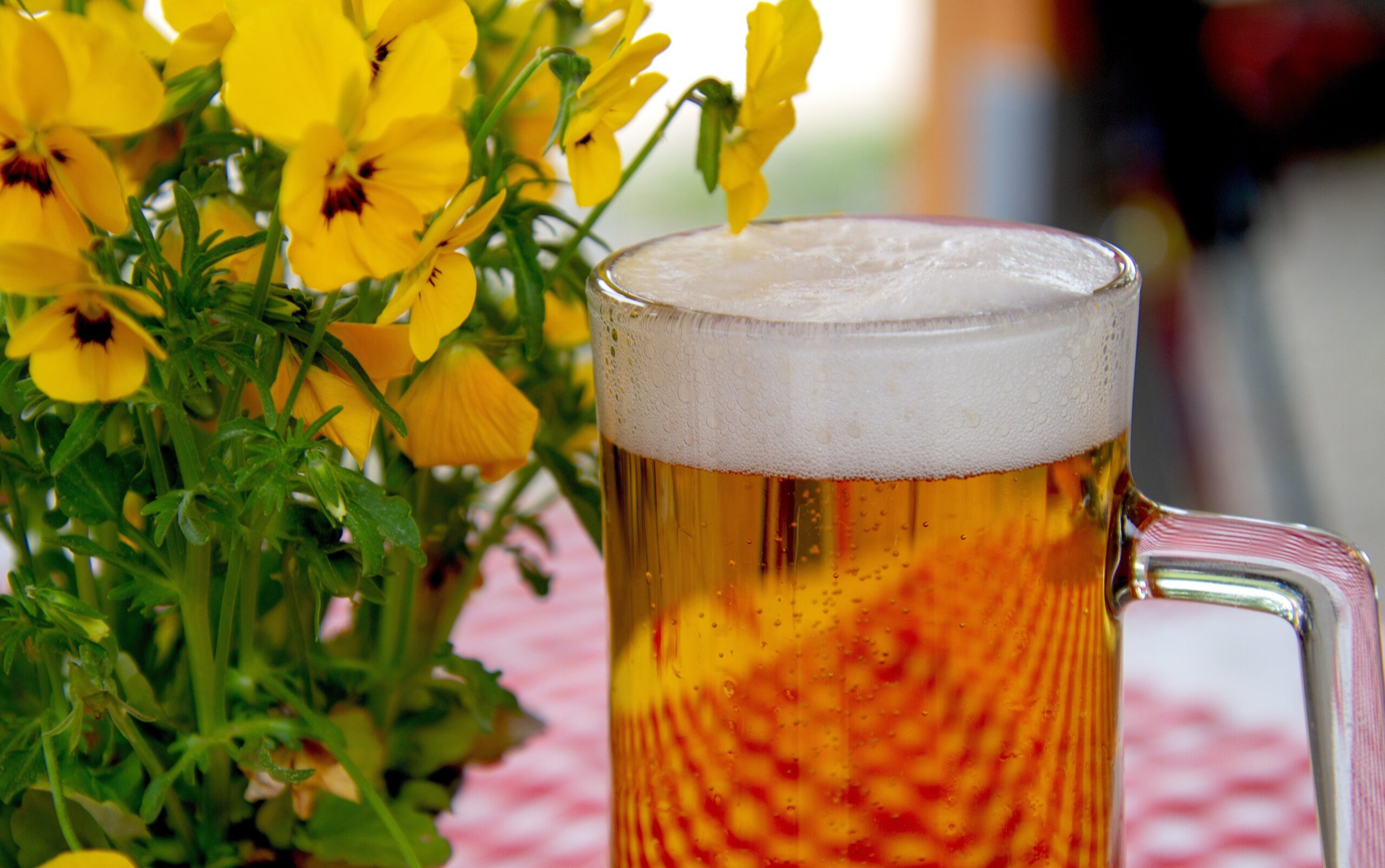 Rotbier Nürnberg
